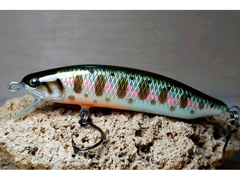 Veles Salmonidae 60