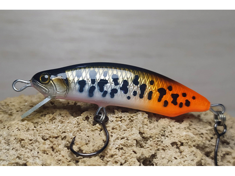 Veles Rainbow Trout 55