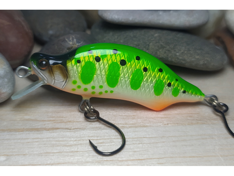 Veles Salmo Trutta 47