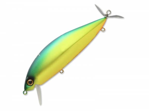 Betta Jami Janction