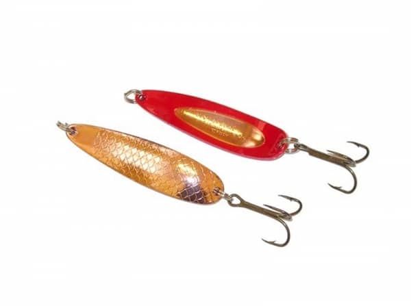 Buch Salmon