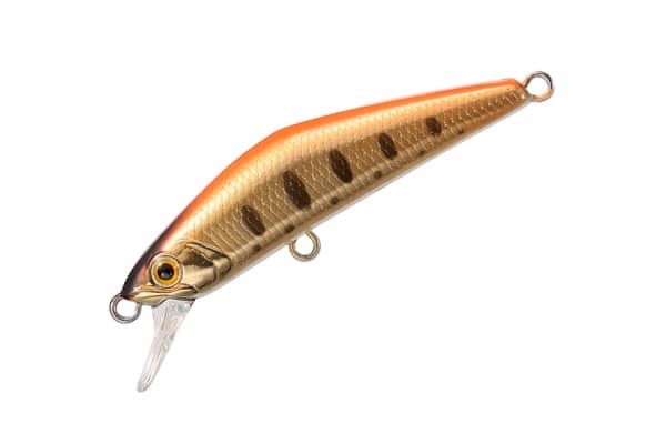 Smith D-Compact