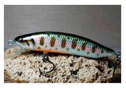 Veles Salmonidae 60