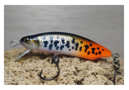 Veles Rainbow Trout 55