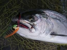 Art fishing Master