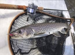 Art fishing Master
