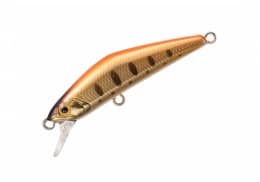 Smith D-Compact