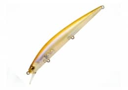 Level Minnow