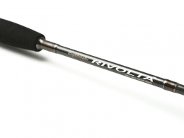 Rivolta