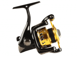 Zauber CF