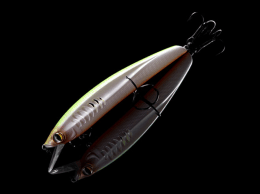 Rumor R110