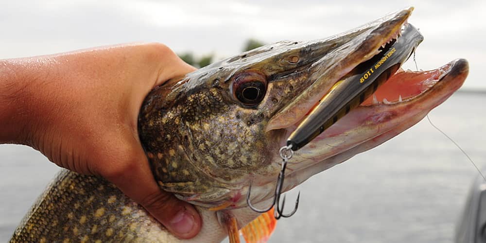 Major Craft Zoner Minnow 110SP
