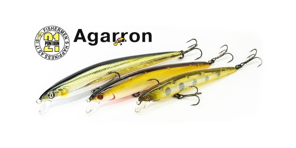 Pontoon 21 Agarron