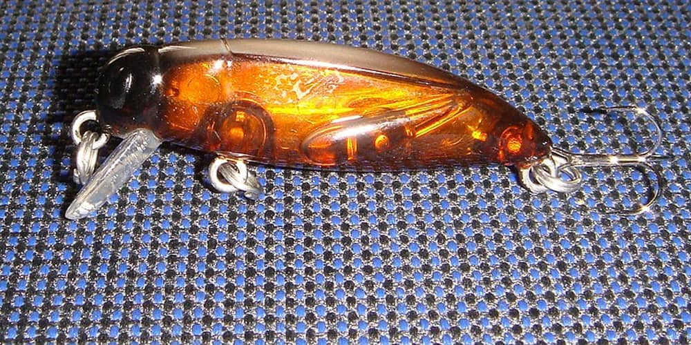 Tackle House Elfin Cricket