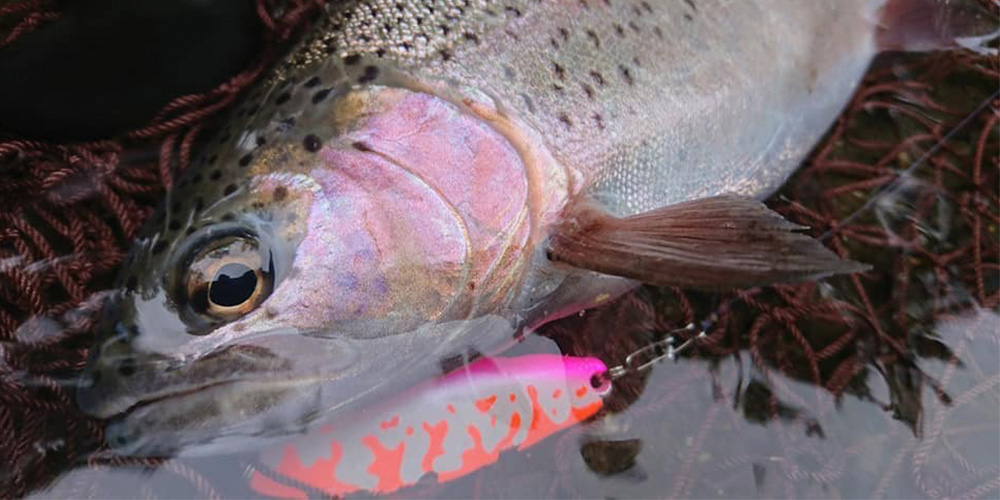 2Northern31052019