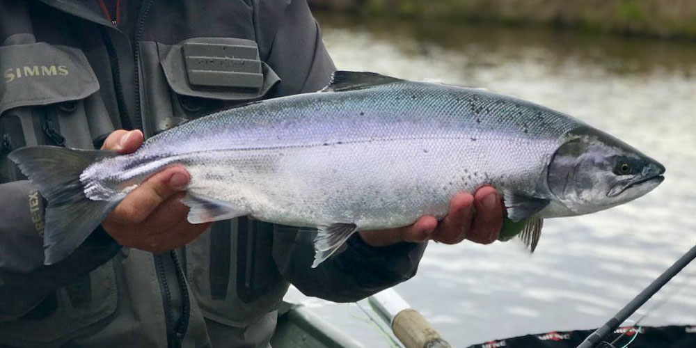 глав картинка в описание Field Hunter North X Standard 35гр