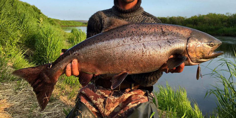 глав картинка в описание Field Hunter North X Standard 35гр