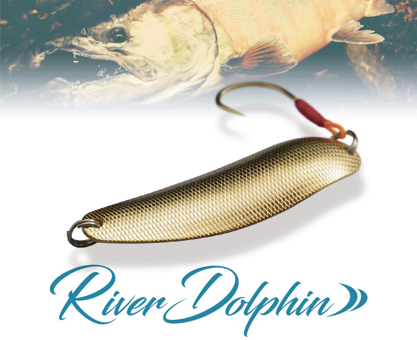 river dolphin2021